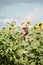 Cheerful male farmer standing in sunflower field and using touchpad during work