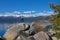 Cheerful male jumps in the air with outstretched arms near beautiful Lake Tahoe.