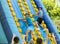 Cheerful man climbing on inflatable slide with wooden poles