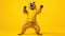 A cheerful marmot in a T-shirt dances a cheerful dance on a yellow background. Groundhog Day