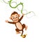 Cheerful monkey hanging on a vine and holding a banana