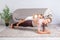 Cheerful mother doing plank workout with little daughter on her back, having fun smiling at camera