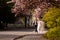 Cheerful newlyweds running around the city happy among the flowering trees. Newlyweds have fun spending their time in a beautiful