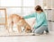 Cheerful owner feeding cute dog