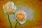 Cheerful pair of peach color roses on dark grunge background