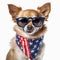 cheerful patriotic dog wearing sunglasses and bandanna with american flag pattern