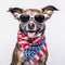 cheerful patriotic dog wearing sunglasses and bandanna with american flag pattern