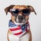 cheerful patriotic dog wearing sunglasses and bandanna with american flag pattern