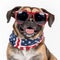 cheerful patriotic dog wearing sunglasses and bandanna with american flag pattern