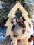 Cheerful Penguin Decoration hanging on white Christmas tree