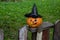 A cheerful pumpkin in a Witch& x27;s hat is sitting on the fence.The Concept Of Halloween