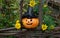 A cheerful pumpkin in a witch's hat is sitting on a fence among yellow flowers.The concept of Halloween