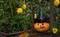 A cheerful pumpkin in a witch& x27;s hat is sitting on a fence among yellow flowers.The concept of Halloween. space for your text