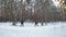 Cheerful red-haired woman throws a snowball on a sunny day, a man and a woman throw snowballs at each other