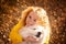 Cheerful redhead girl is playing in the park in autumn with her big white dog Samoyed. Walking with your favorite pet.