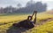 Cheerful Rottweiler somersaults in the meadow under the morning sun