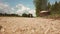 Cheerful rural woman rides a vintage bike along the field.