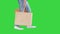 Cheerful school girl walking with shopping bags on a Green Screen, Chroma Key.