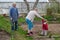 Cheerful senior Elderly couple in the garden with little grandson
