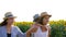 Cheerful siblings smile together in straw hats on walk in yellow sunflower field