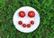 Cheerful smiley from fresh tomato on a round white plate in the grass.