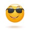 Cheerful smiley in sunglasses