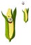 Cheerful smiling cartoon corn vegetable