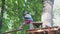 Cheerful smiling child climbing in adventure high wire park.