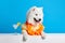 Cheerful, smiling Samoyed dog with neck colorful floral accessories and cocktail against blue studio background