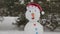 The cheerful snowman standing in the snow 1