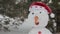The cheerful snowman standing in the snow 3