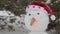 The cheerful snowman standing in the snow 5