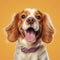 Cheerful Spaniel Dog Smiling In Hyper-realistic Studio Portrait