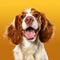 Cheerful Spaniel Dog Smiling On Orange Background