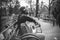 A Cheerful Street Musician Playing Classic Guitar on a Bench. Black and White Photography