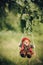 A cheerful stylish clown toy in a brown-red suit rides