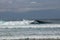 Cheerful Surfer Riding Big Foaming Ocean Wave in Sunny Nature. Man surfing on a cool surfboard in the summer sun near the idyllic