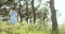 A cheerful teenage girl with braided hair walks in a clearing between green trees in summer forest with cane in hands