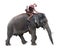 Cheerful tourist rides on an elephant