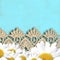 Cheerful turquoise background with daisies