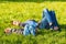 Cheerful two brothers lie on the grass in the park and play in funny games