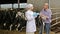 Cheerful veterinarian with fresh milk