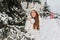 Cheerful white girl wears knitted hat and warm coat posing with gently smile beside christmas tree. Ecstatic female