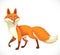 Cheerful wild cartoon orange fox going forward isolated on white background