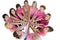 Cheerful women joined in a circle and looking up at camerawearing pink for breast cancer