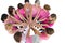 Cheerful women joined in a circle wearing pink for breast cancer