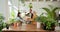 Cheerful young Asian saleswoman is serves the customers, packs the plant. In a bright indoor garden, a young Asian woman