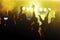 cheering crowd in front of bright yellow stage lights. Silhouette image of people dance in disco night club or concert