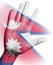 Cheering fan with Painting national Nepal flag