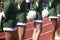 Cheerleaders in green uniform standing with pom poms behind thier backs